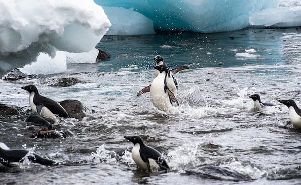 Instaurer un climat de confiance durable avec son équipe : étapes clés et pièges à éviter
